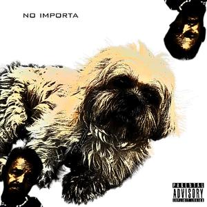 NO IMPORTA (instrumental)
