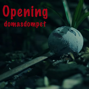 Opening