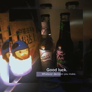 灰姑娘没有水晶球（Demo）