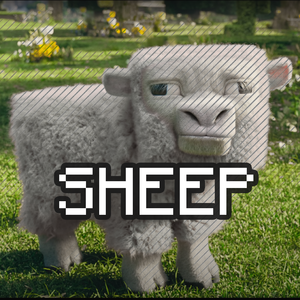 SHEEP