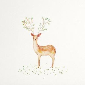 关忆北（翻自 杏仁c）