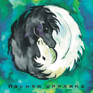 Парная упряжка