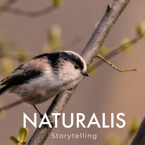 She Wakes Me Up Singing