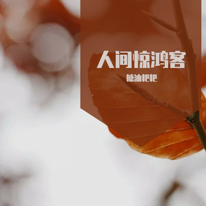 人间惊鸿客 cover. 叶里