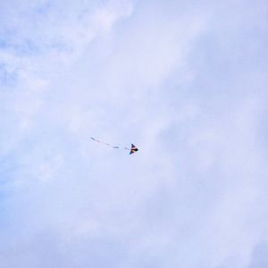 留夏 (录音室版）