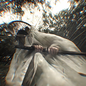 力拔山兮气盖世