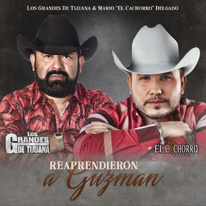 Reaprehendieron a Guzman Ver. Banda (feat. Mario "el Cachorro" Delgado)