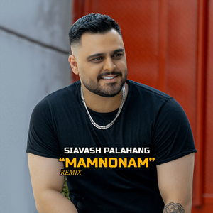 Mamnonam (Remix)