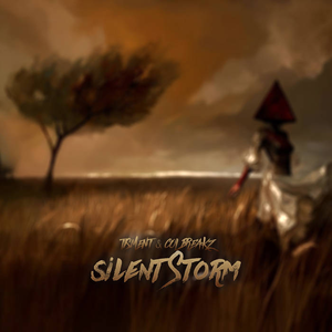 Silent Storm