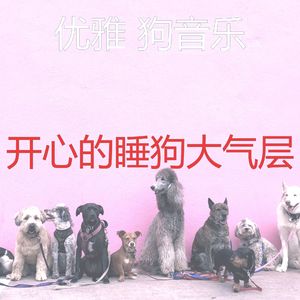 抚慰的训练犬回忆