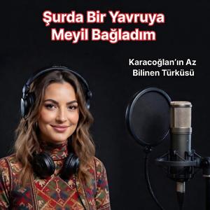Şurda Bir Yavruya Meyil Bağladım