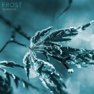 Frost