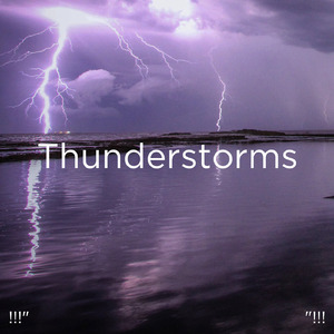 호우 잠