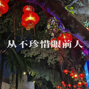 从不珍惜眼前人