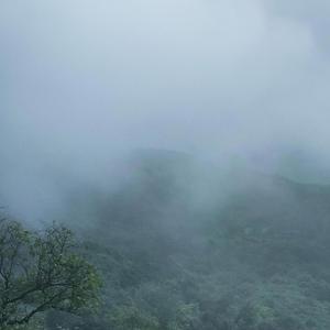 Wherain