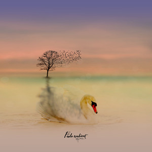 혼자만의 재충전 시간 (기타 연주곡 Ver.)