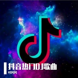 雾里 (DJ版)