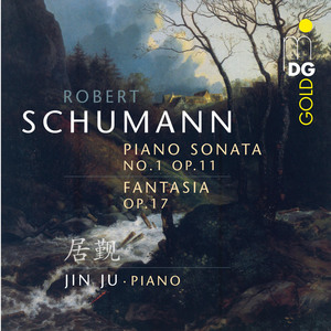 Fantasia, Op. 17: I. Durchaus phantastisch und leidenschaftlich vorzutragen