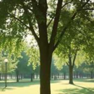 แค่เธอไม่ลืม