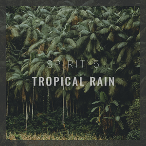 Tropical Rain