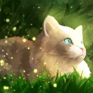 The Sounds of Snow Fall