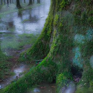 大雨 (Instant Lofi) (Remastered)