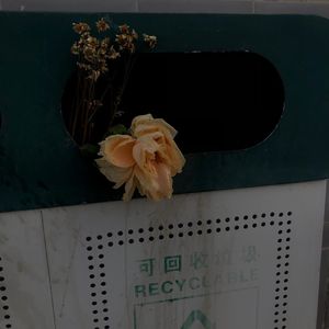 无法释怀（0.8）