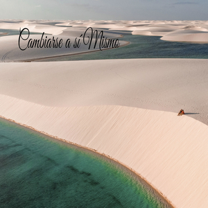 Memoria Nocturna Del Océano