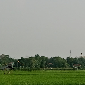 Di pelukan tuhan