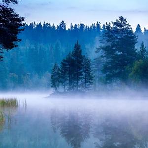 最熟悉的陌生人