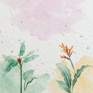 Amiga Da Vida (Afro House)