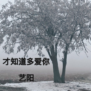 才知道多爱你