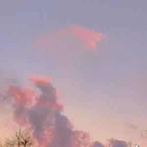 没你也能活下去（翻唱Jony j）