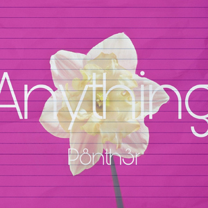 Anything