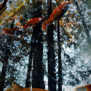 死心塌地（cover - 梁咏琪）