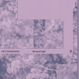 Borrowed Light (Rain)