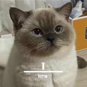 只想给你在一起