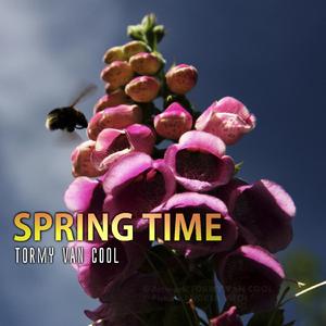 Spring Time (Piano Reduction) (Reduction for Piano)