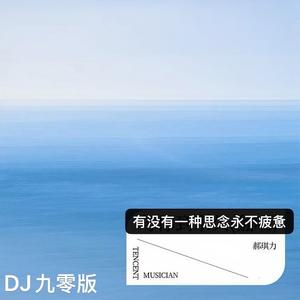 有没有一种思念永不疲惫 (DJ九零版)