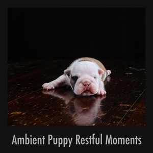 Pup Stretch