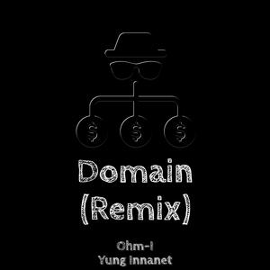 Domain (feat. Yung Innanet) (Remix) (Remix)