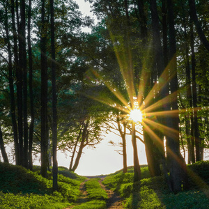 Hrudayame Nee Aalayam