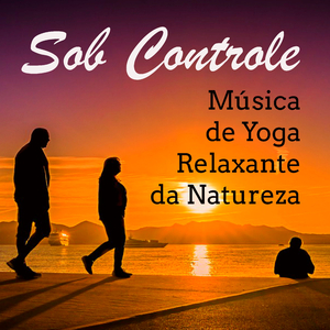 Notas de Relaxamento
