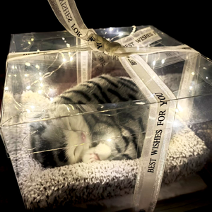 一半温柔一半深邃（伴奏