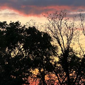 Grand Rising
