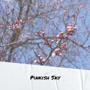 Pinkish Sky