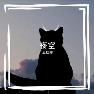 夜空中最亮的星