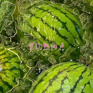 里约热内卢