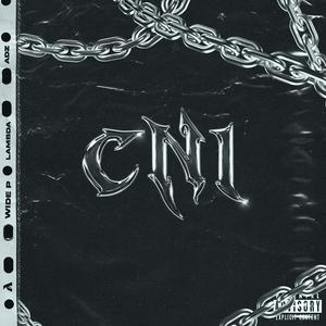 CNI