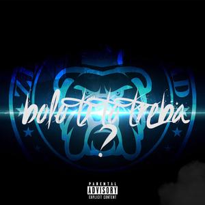 Bolo ti to treba? /by Zlypesrekord/